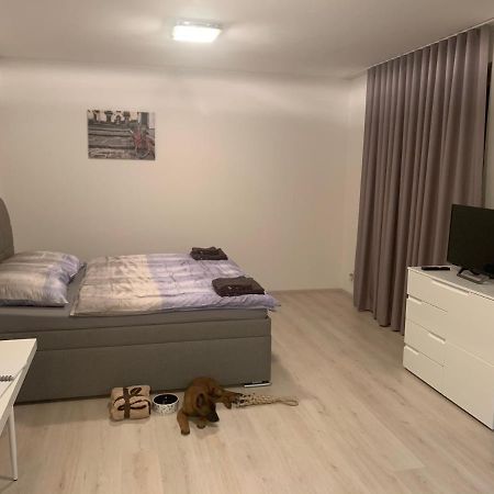 פלזן Modern Apartment In The City Center מראה חיצוני תמונה